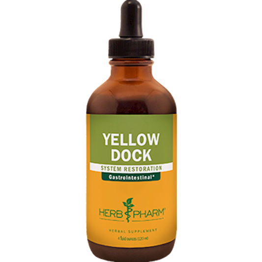 Yellow Dock